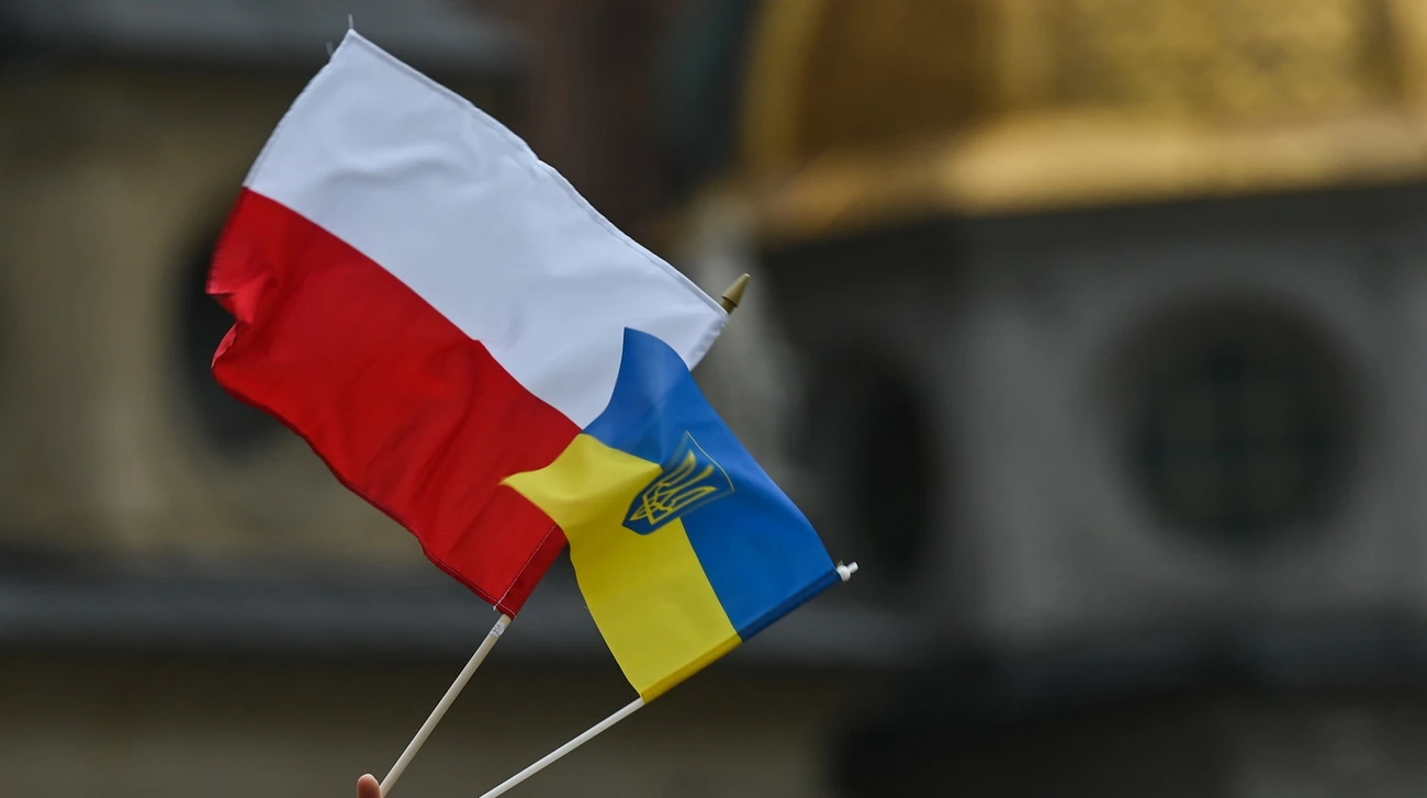 Результати опитування IBRiS щодо ставлення поляків до українських чоловіків призовного віку